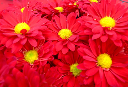 480616 (a): :2000x1358